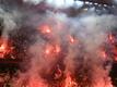 Polizei ermittelt gegen Feyenoord-Hooligans