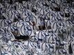 Schalke stimmt Fans auf langen Abstiegskampf ein