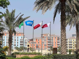 Flaggen in den Farben Katars und eine Fifa-Flagge sind hinter Palmen zu sehen.