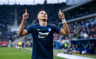 bundesliga-transfers-1899-hoffenheim-tim-lemperle