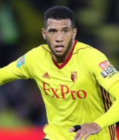 Foto von Étienne Capoue (Etienne Capoue)