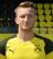 Profilbild von Marco Reus