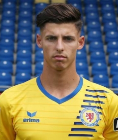 Foto von Ivan Franjic (Ivan Leon Franjic)