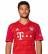 Profilbild von Serge Gnabry