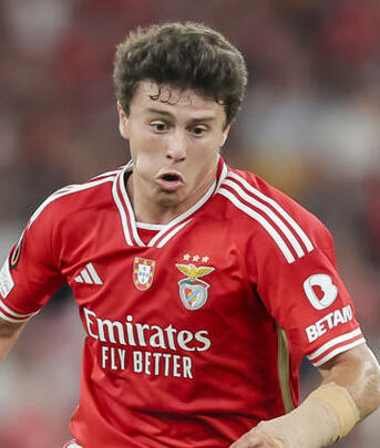 Foto von João Neves (João Pedro Gonçalves Neves)