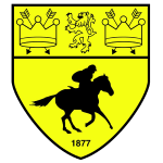 Wappen von Newmarket Town