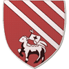 Wappen von Droylsden FC