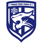 Wappen: Wuhan Three Towns FC