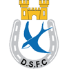 Wappen von Dungannon Swifts