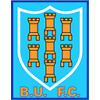 Wappen von FC Ballymena United