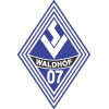 Wappen von SV Waldhof Mannheim 07