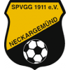 Wappen von SpVgg Neckargemünd