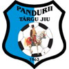 Wappen von Pandurii Targu Jiu