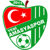 Wappen von Yeni Amasyaspor