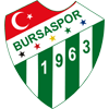 Wappen von Yeşil Bursa SK