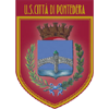 Wappen von Pontedera