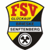 Wappen von FSV Glückauf Brieske-Senftenberg