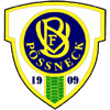 Wappen von VfB Pößneck