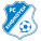 Wappen von FC Eindhoven