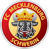 Wappen von FC Mecklenburg Schwerin