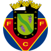 Wappen von FC Felgueiras