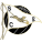 Wappen: SC Espinho