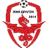Wappen von ZFK Dragon 2014
