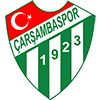 Wappen: Carsambaspor