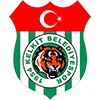 Wappen: 1954 Kelkit Belediyespor