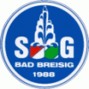 Wappen von SV Bad Rothenfelde