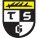 Wappen: TSG Balingen