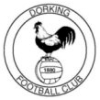 Wappen von Dorking Wanderers