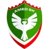 Wappen von Amed SK