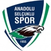 Wappen von Anadolu Selçukspor