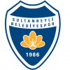 Wappen von Sultanbeyli Belediyespor